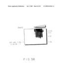 Stimulus Inducible Protein Kinase Complex and Methods of Use Therefor diagram and image