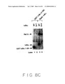 Stimulus Inducible Protein Kinase Complex and Methods of Use Therefor diagram and image