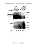 Stimulus Inducible Protein Kinase Complex and Methods of Use Therefor diagram and image