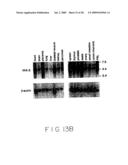 Stimulus Inducible Protein Kinase Complex and Methods of Use Therefor diagram and image