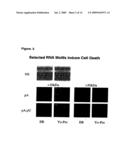 SELECTED MA MOTIFS TO INCLUDE CELL DEATH AND/OR APOPTOSIS diagram and image