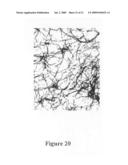 Electrostatically Controlled Hydrogels diagram and image