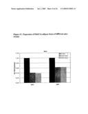 Mnk KINASE HOMOLOGOUS PROTEINS INVOLVED IN THE REGULATION OF ENERGY HOMEOSTASIS AND ORGANELLE METABOLISM diagram and image