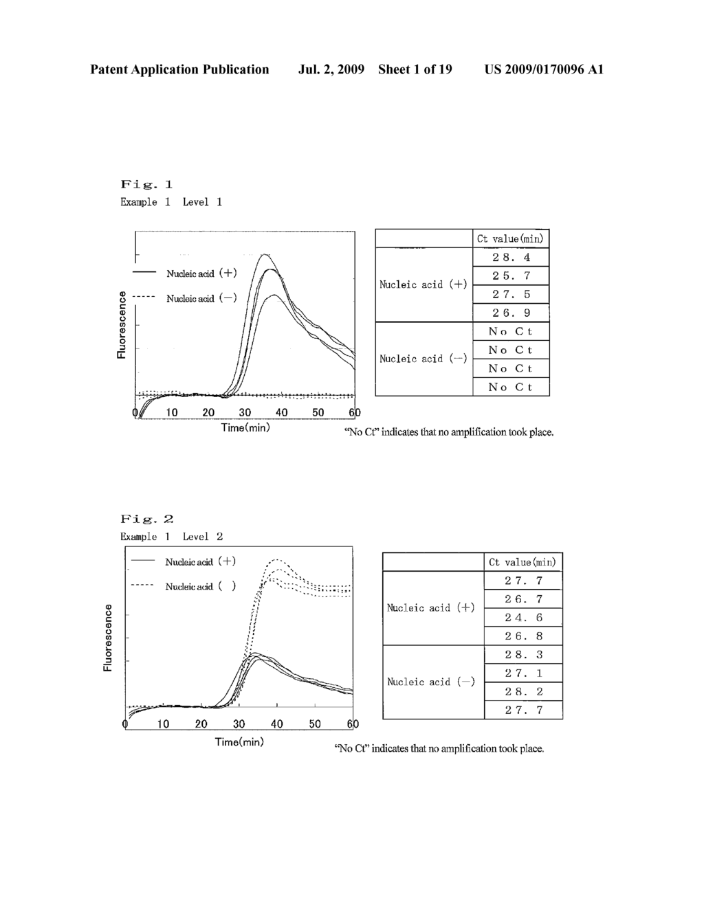 NUCLEIC ACID AMPLIFICATION METHOD - diagram, schematic, and image 02