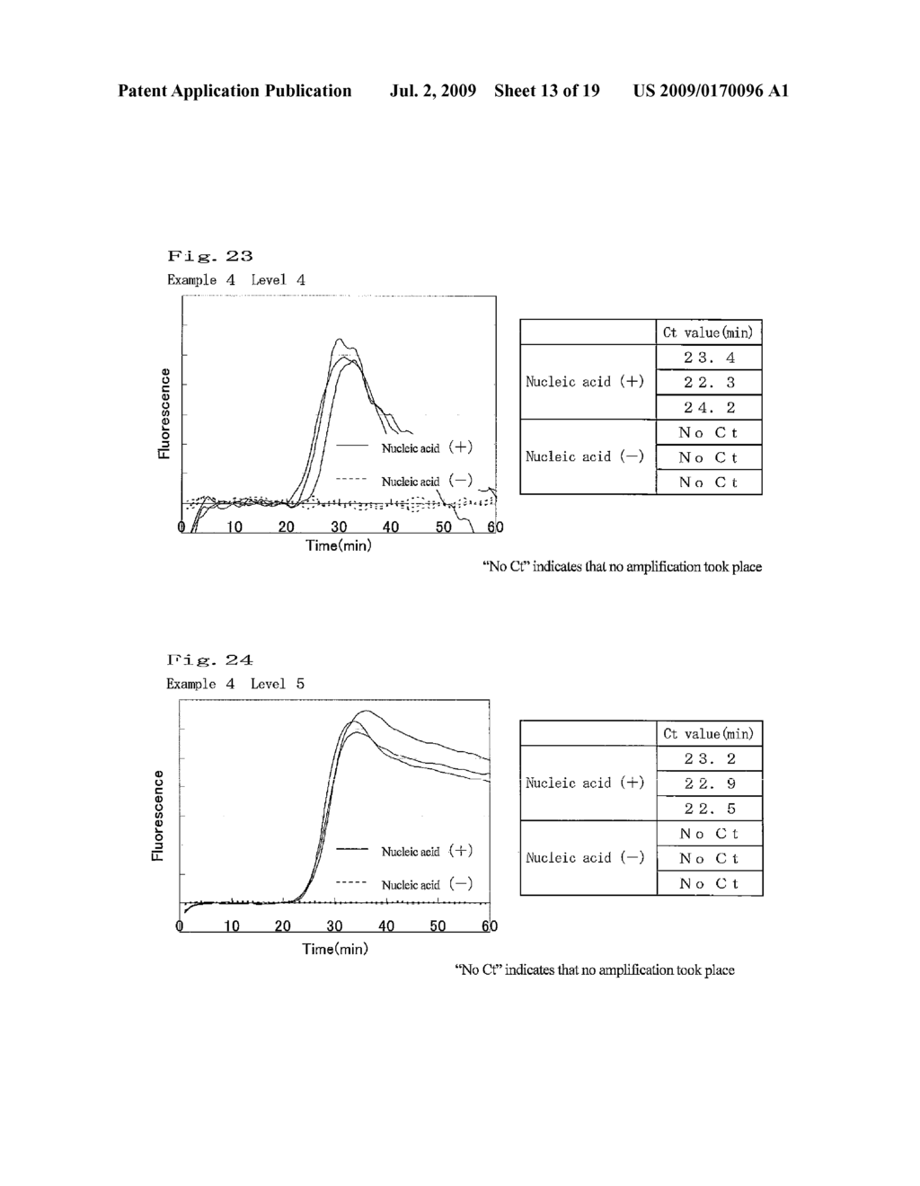NUCLEIC ACID AMPLIFICATION METHOD - diagram, schematic, and image 14
