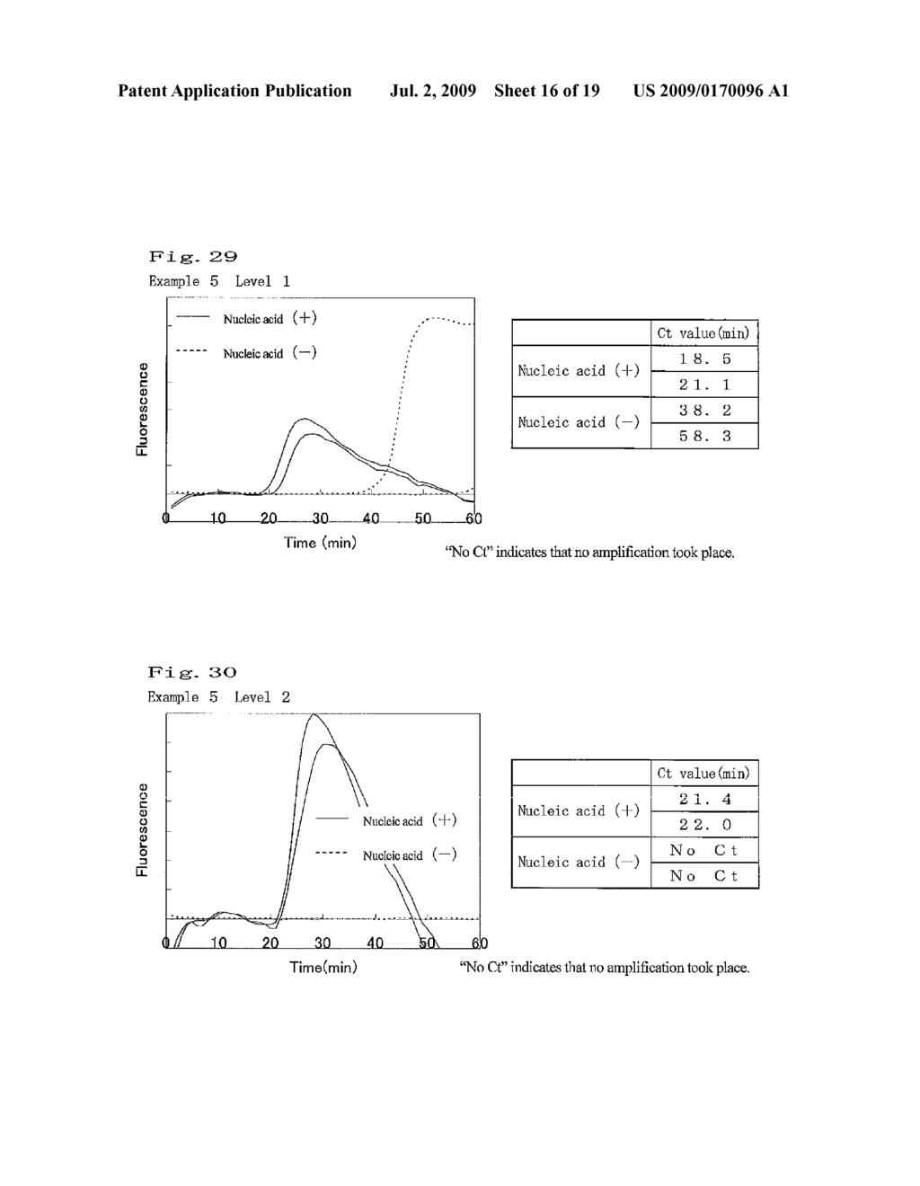 NUCLEIC ACID AMPLIFICATION METHOD - diagram, schematic, and image 17