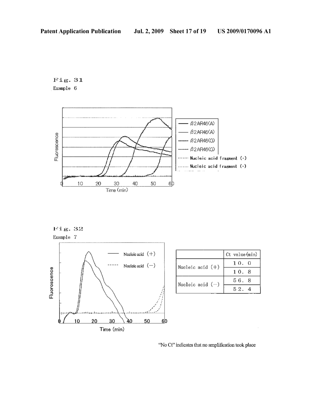 NUCLEIC ACID AMPLIFICATION METHOD - diagram, schematic, and image 18