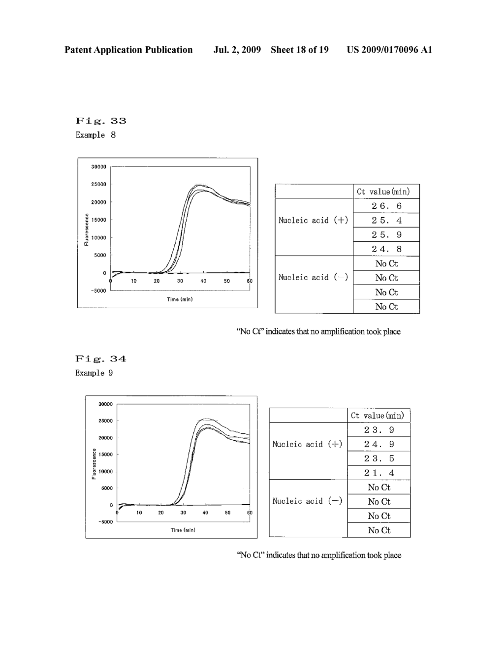 NUCLEIC ACID AMPLIFICATION METHOD - diagram, schematic, and image 19