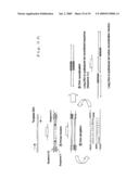 NUCLEIC ACID AMPLIFICATION METHOD diagram and image