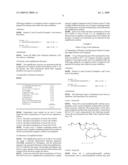 NUCLEIC ACID AMPLIFICATION METHOD diagram and image