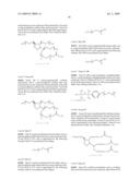 NUCLEIC ACID AMPLIFICATION METHOD diagram and image