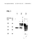 Use of Regulatory Sequences for Specific, Transient Expression in Neuronal Determined Cells diagram and image