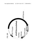 Use of Regulatory Sequences for Specific, Transient Expression in Neuronal Determined Cells diagram and image