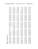 Use of Regulatory Sequences for Specific, Transient Expression in Neuronal Determined Cells diagram and image