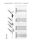 Use of Regulatory Sequences for Specific, Transient Expression in Neuronal Determined Cells diagram and image