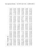 Use of Regulatory Sequences for Specific, Transient Expression in Neuronal Determined Cells diagram and image