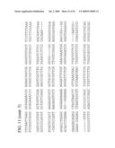 Use of Regulatory Sequences for Specific, Transient Expression in Neuronal Determined Cells diagram and image