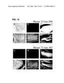 Use of Regulatory Sequences for Specific, Transient Expression in Neuronal Determined Cells diagram and image