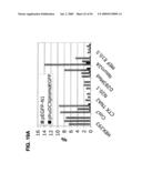 Use of Regulatory Sequences for Specific, Transient Expression in Neuronal Determined Cells diagram and image