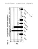 Use of Regulatory Sequences for Specific, Transient Expression in Neuronal Determined Cells diagram and image