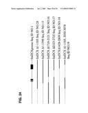 Use of Regulatory Sequences for Specific, Transient Expression in Neuronal Determined Cells diagram and image