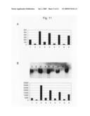 Prostasin Partial Peptide and Anti-Prostasin Antibody diagram and image