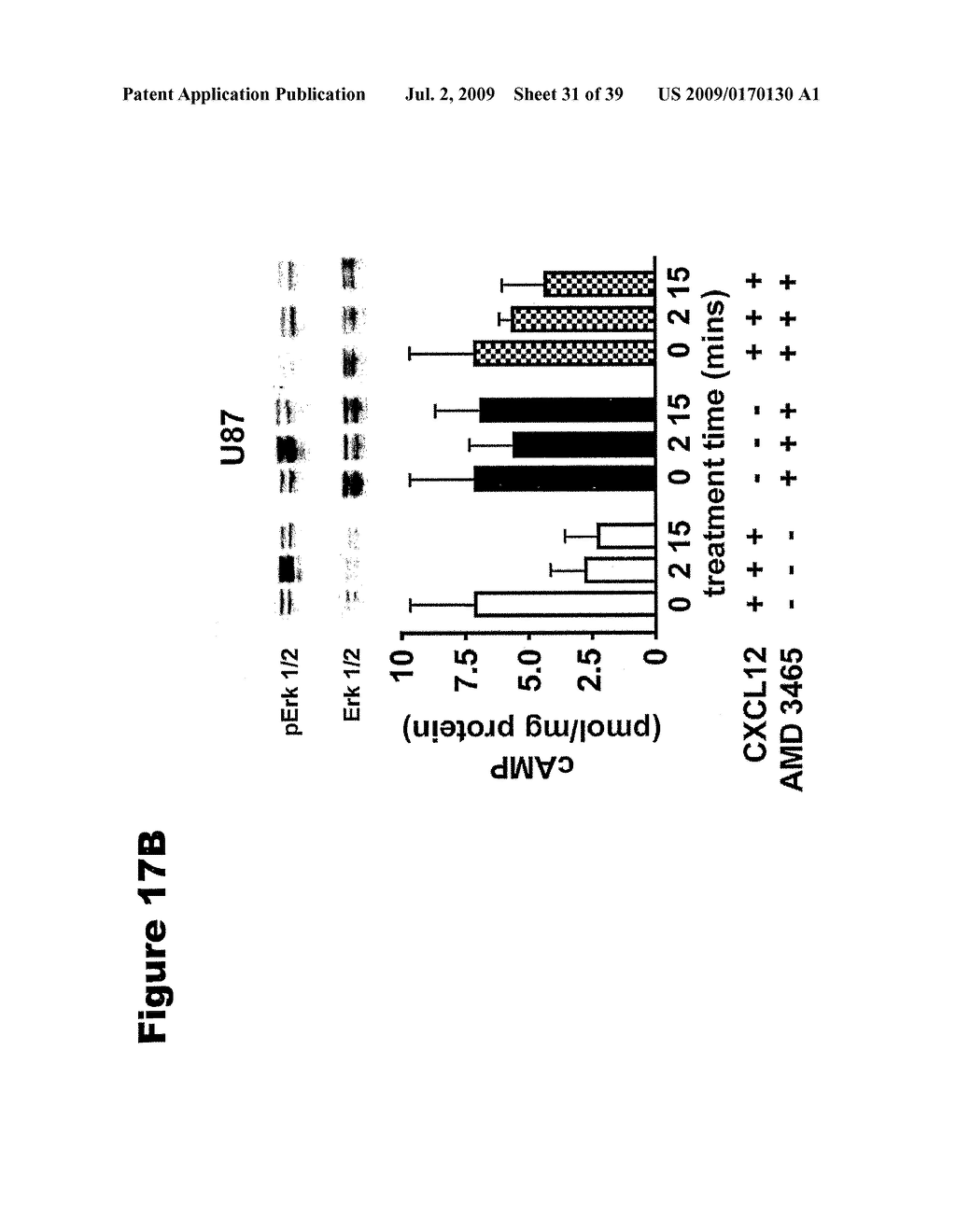 Phosphospecific Chemokine Receptor Antibodies - diagram, schematic, and image 32