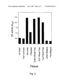 Novel Carboxylesterase Nucleic Acid Molecules, Proteins and Uses Thereof diagram and image