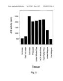 Novel Carboxylesterase Nucleic Acid Molecules, Proteins and Uses Thereof diagram and image