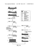 METHOD FOR MAKING AVAILABLE A PRIMING OLIGONUCLEOTIDE diagram and image