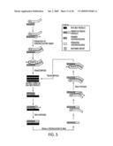 METHOD FOR MAKING AVAILABLE A PRIMING OLIGONUCLEOTIDE diagram and image