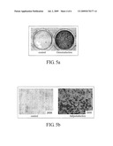 STEM CELL TRANSFECTION METHOD diagram and image