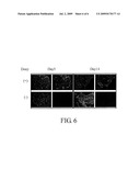 STEM CELL TRANSFECTION METHOD diagram and image