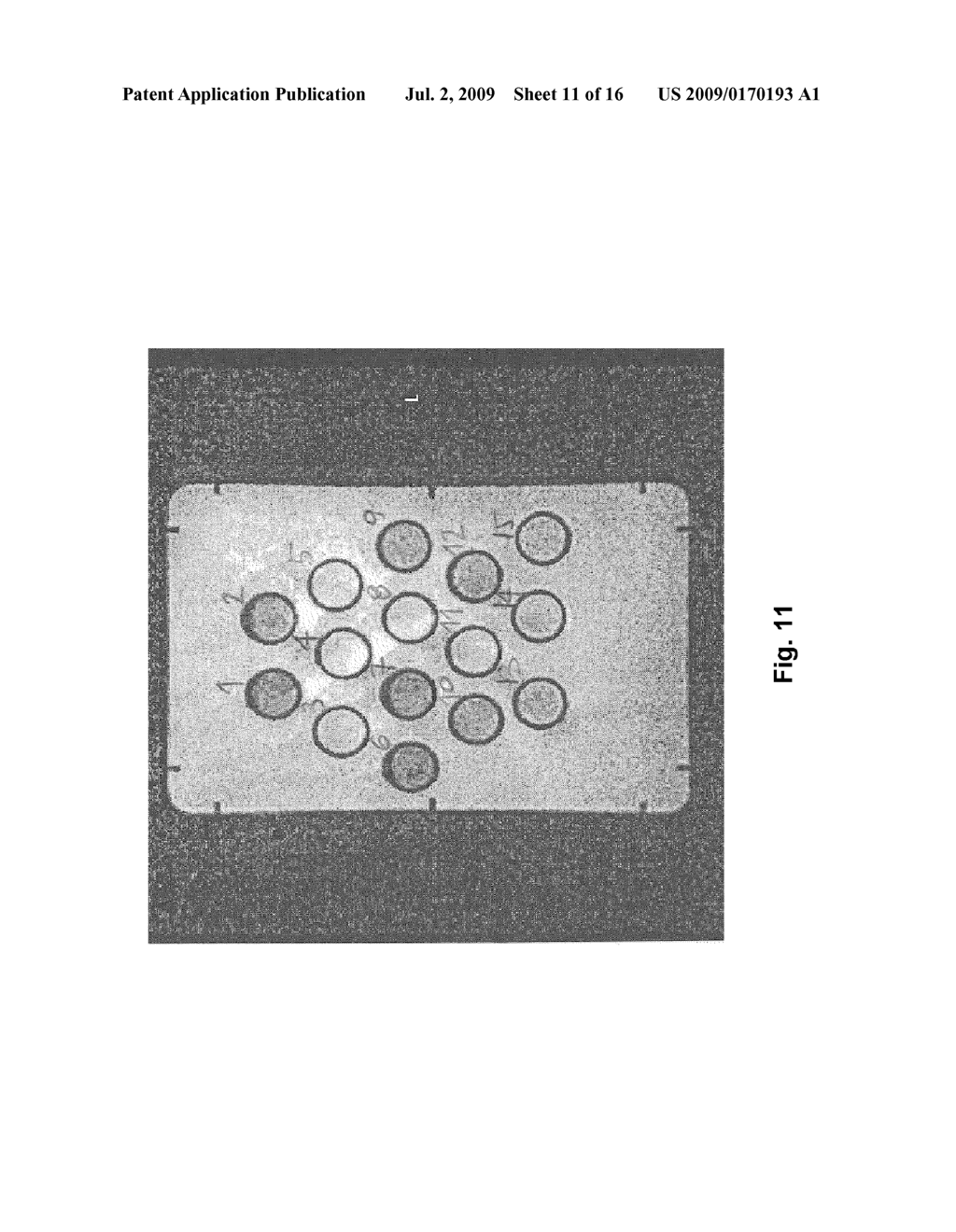 STEM CELLS - diagram, schematic, and image 12