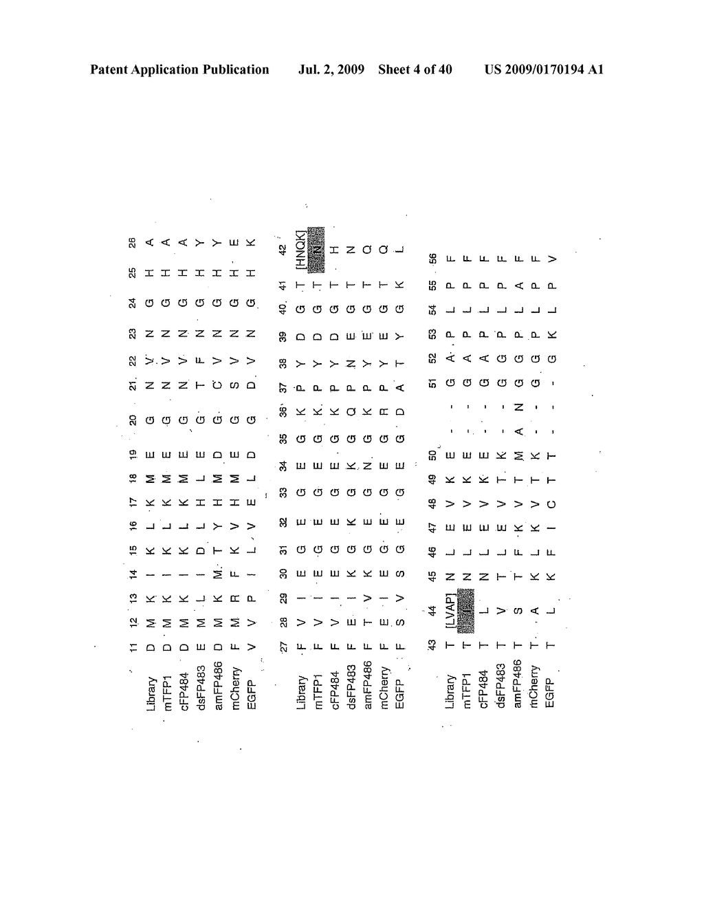 TEAL FLUORESCENT PROTEINS - diagram, schematic, and image 05