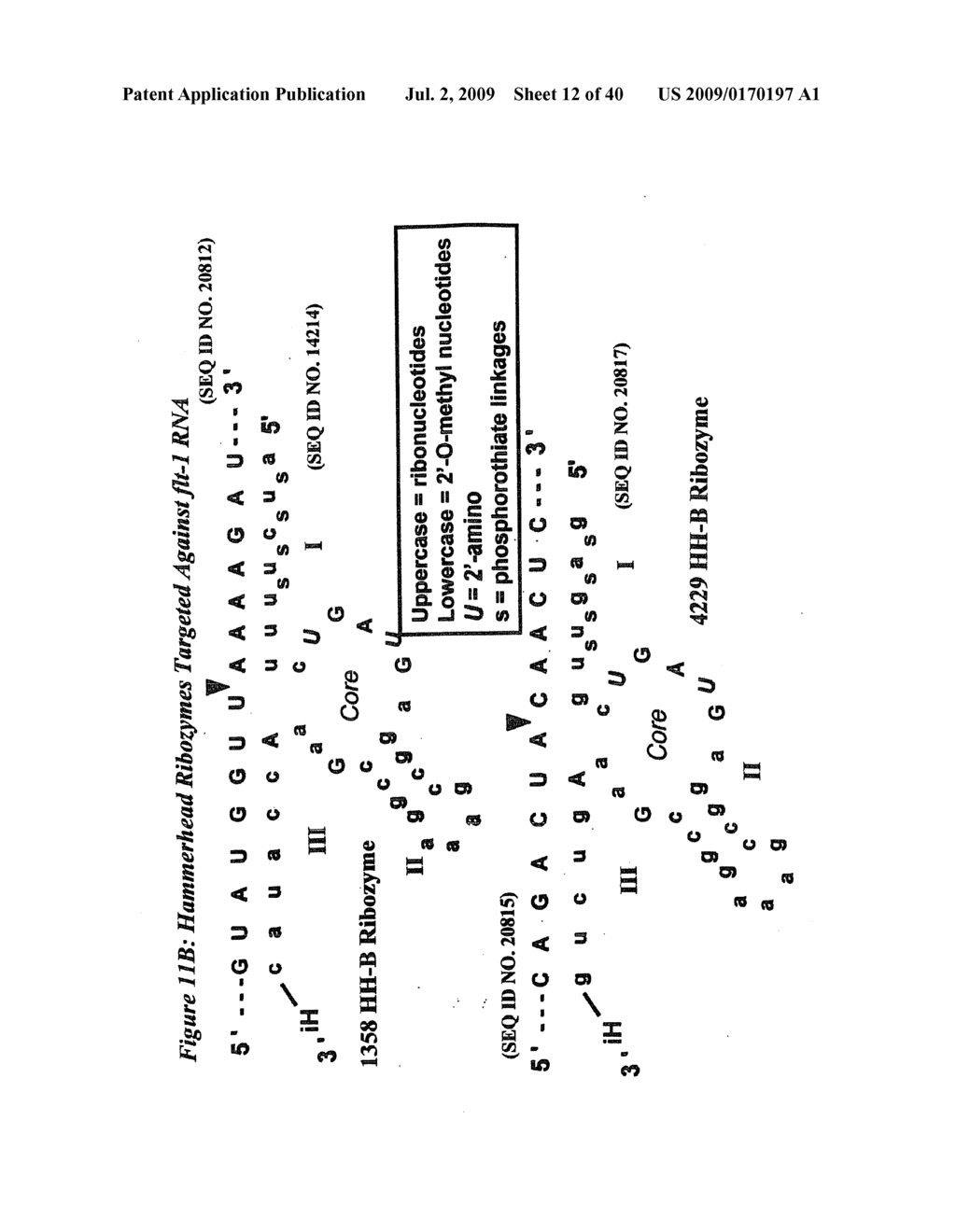 Nucleic Acid-Mediated Treatment of Diseases or Conditions Related to Levels of Vascular Endothelial Growth Factor Receptor (VEGF-R) - diagram, schematic, and image 13