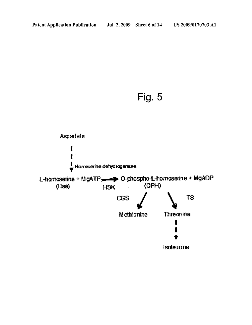 Disease Resistant Plants - diagram, schematic, and image 07