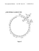 Methods of constructing and screening diverse expression libraries diagram and image