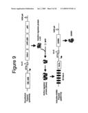 Plasmid mediated supplementation for treating chronically ill subjects diagram and image