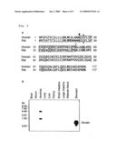 Modified gherlin peptides diagram and image