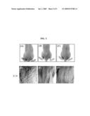 NOVEL USE OF 1, 2, 3, 4, 6-PENTA-O-GALLOYL-BETA-D-GLUCOSE diagram and image