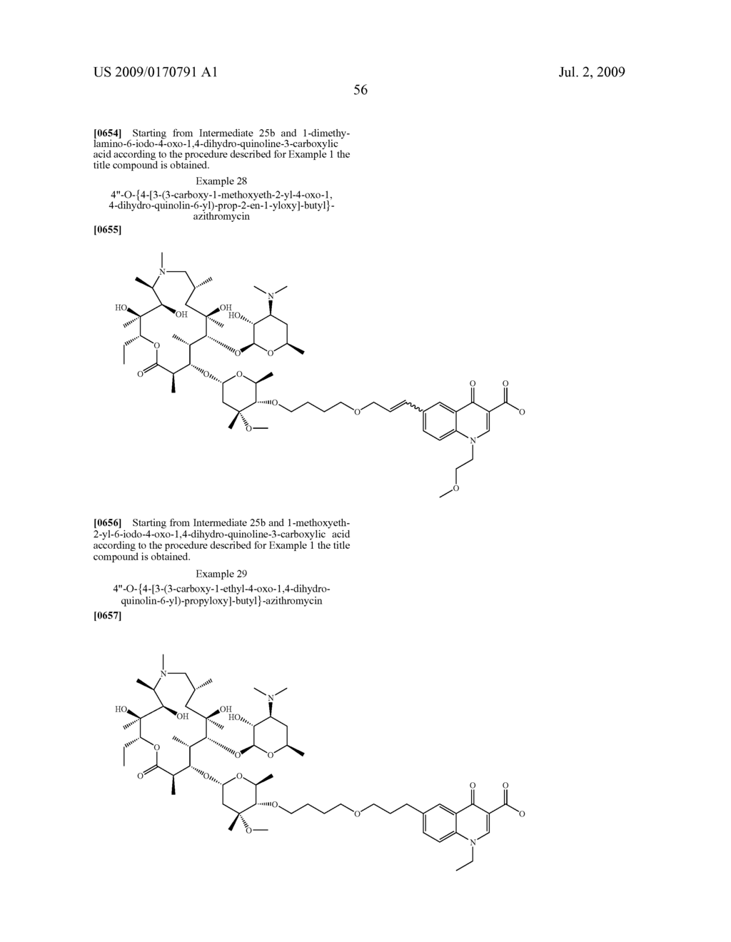 MACROLONES - diagram, schematic, and image 57