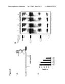 ARTIFICIAL RIBOSWITCH FOR CONTROLLING PRE-MRNA SPLICING diagram and image