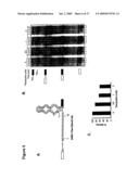 ARTIFICIAL RIBOSWITCH FOR CONTROLLING PRE-MRNA SPLICING diagram and image