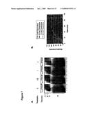 ARTIFICIAL RIBOSWITCH FOR CONTROLLING PRE-MRNA SPLICING diagram and image