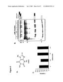 ARTIFICIAL RIBOSWITCH FOR CONTROLLING PRE-MRNA SPLICING diagram and image