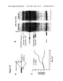 ARTIFICIAL RIBOSWITCH FOR CONTROLLING PRE-MRNA SPLICING diagram and image