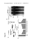 ARTIFICIAL RIBOSWITCH FOR CONTROLLING PRE-MRNA SPLICING diagram and image