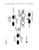 ARTIFICIAL RIBOSWITCH FOR CONTROLLING PRE-MRNA SPLICING diagram and image