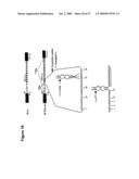 ARTIFICIAL RIBOSWITCH FOR CONTROLLING PRE-MRNA SPLICING diagram and image